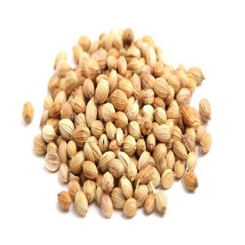 Pure Natural Rich Taste Healthy Dried Coriander Seeds Grade: Food Grade