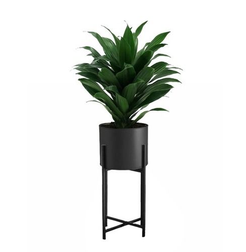 Iron Garden Flower Pot Black 10X10X35 Cm