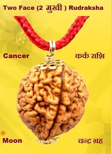 Organic Two Face Rudraksha Mala