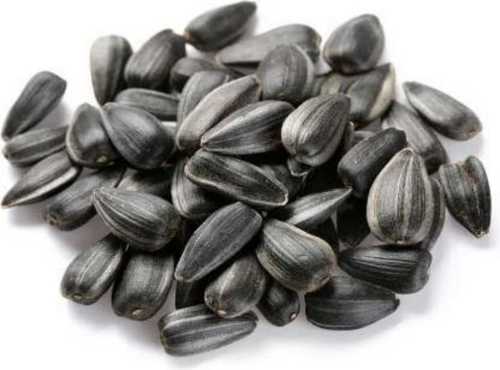Black Color Sunflower Seeds