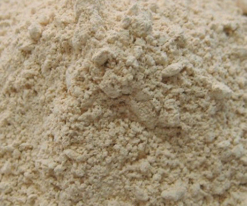 Rich In Taste Healthy Natural Dehydrated Garlic powder