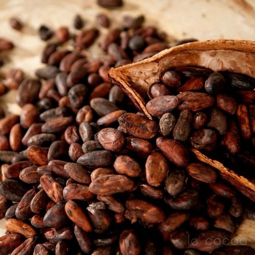 A Grade Organic Vietnam Cocoa Beans