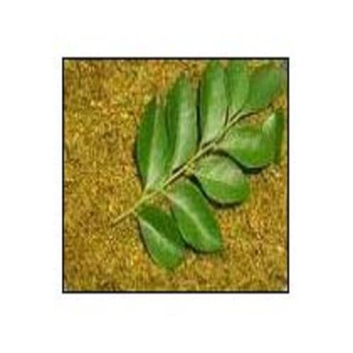 Curry Leaves Powder - Organic Dried Culinary Ingredient | Natural Taste, Non Harmful, Food Grade Quality, Ideal for Cooking