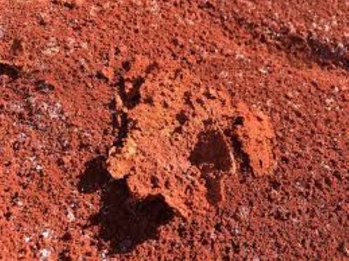 Red Soil Powder - Organic Red Mud for Gardening | Well-Aerated, Moisture-Retentive, Nutrient-Rich Soil for Indoor/Outdoor Plants