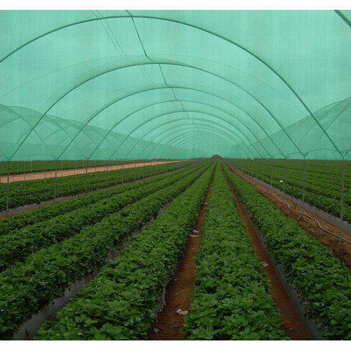 Agriculture Shade Net For Protection Of Herbs