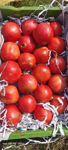 Pure And Natural Sweet Chemical Free Fresh Pomegranates