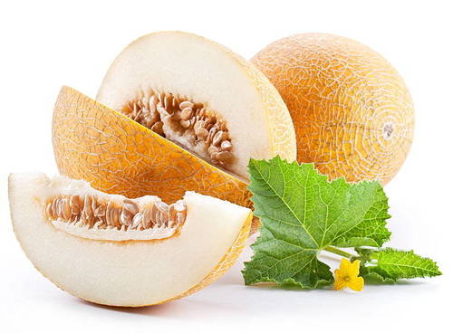 Open Air Rich Taste Indian Muskmelon Fruit