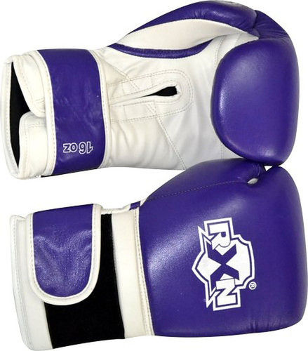 Blue Leather Boxing Gloves