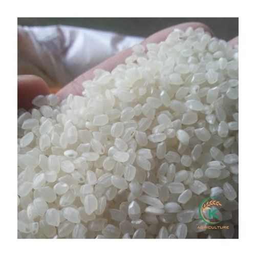 Medium Size Vietnam Japonica Rice