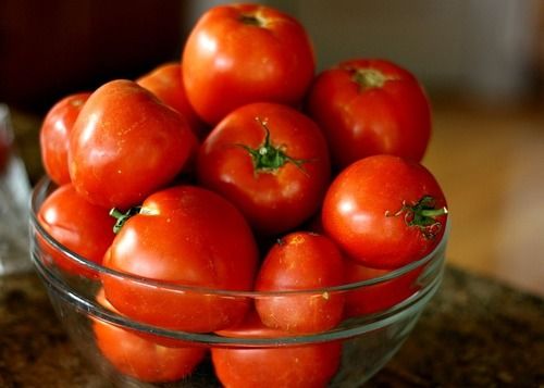 Mild Flavor Natural Taste Healthy Organic Red Fresh Tomato
