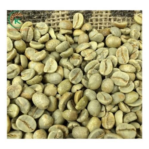 robusta coffee beans