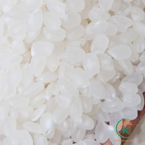 Vietnam Origin Japonica Short Grain Rice