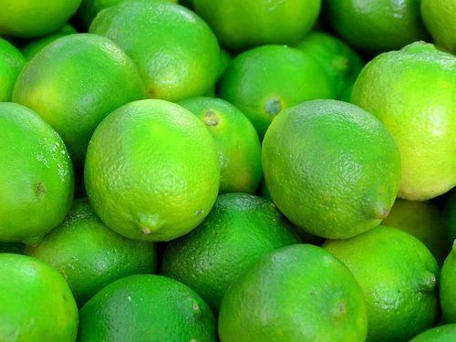 Round & Oval Excellent Quality Sour Natural Taste Healthy Green Fresh Lemons