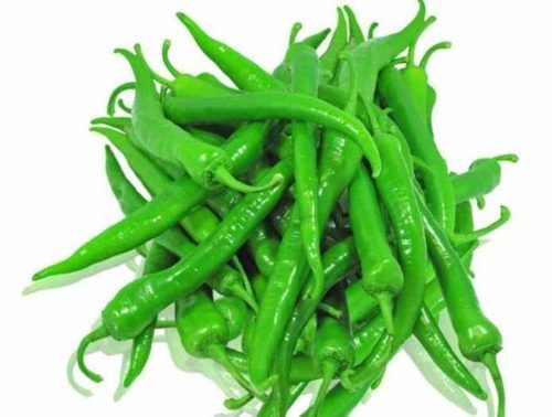 Excellent Quality Spicy Hot Natural Taste Fresh Green Chilli