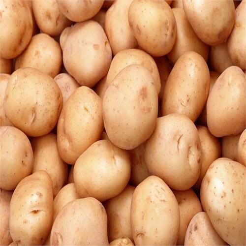 Round & Oval Pesticide Free Natural Taste Mild Flavor Brown Fresh Potato