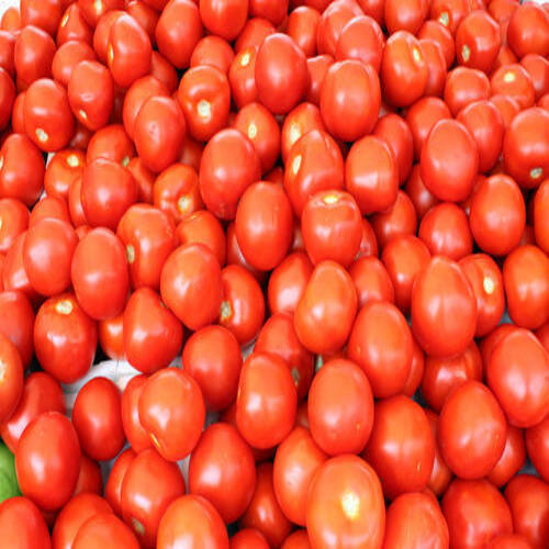 Rich Natural Taste Mild Flavor Healthy Red Fresh Tomato