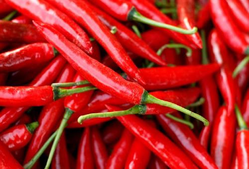 Excellent Quality Spicy Natural Taste Fresh Red Chilli Grade: Food Grade