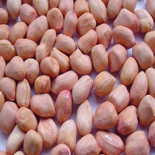 Moisture 10% Easy To Digest High Nutrition Healthy Brown Bold Peanuts