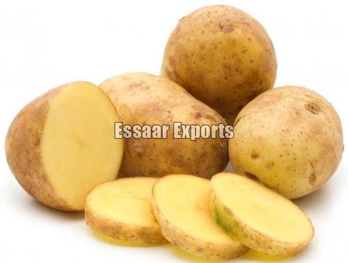 Early Maturing Natural Taste Brown Organic Fresh Potato