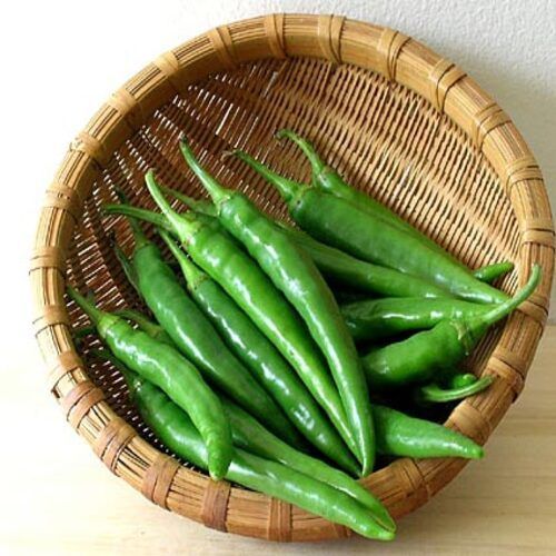 Excellent Quality Spicy Hot Natural Taste Organic Fresh Green Chilli Shelf Life: 7-10 Days