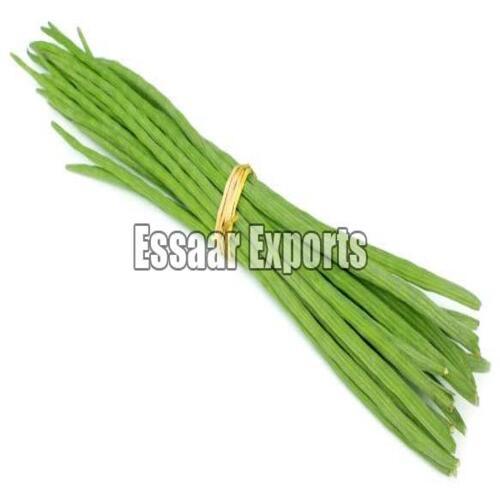 Floury Texture Eco-Friendly Natural Healthy Organic Green Fresh Drumsticks