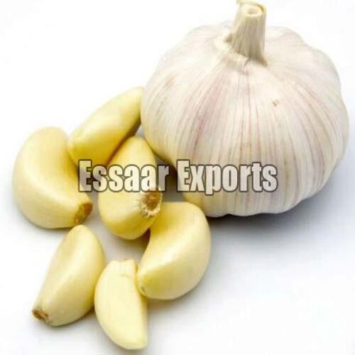 Gluten Free Rich In Taste Natural Healthy Organic White Fresh Garlic