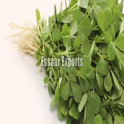 Good Quality Natural Taste Green Organic Fresh Fenugreek Leaves Grade: Food Grade