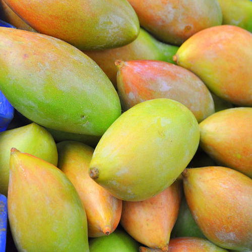 Non Pesticide Bore Free Delicious Sweet Natural Taste Totapuri Mango