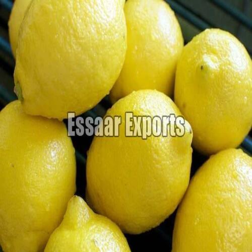 Sour Natural Taste Easy To Digest Healthy Organic Yellow Fresh Lemon