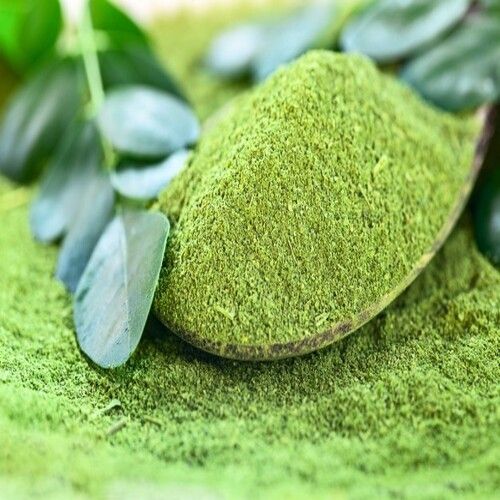 Good Quality Natural Healthy Dried Green Moringa Powder Shelf Life: 1 Years