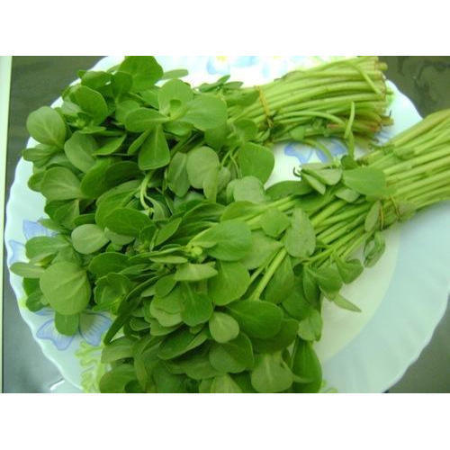 Good Quality Natural Taste Green Fresh Fenugreek Leaves Grade: Food Grade