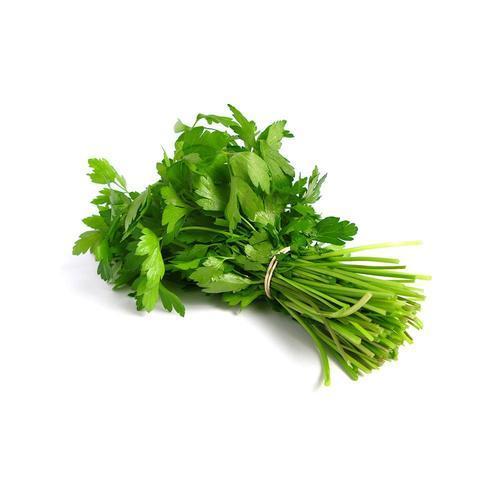 Healthy Natural Rich Taste Fresh Green Coriander Leaves