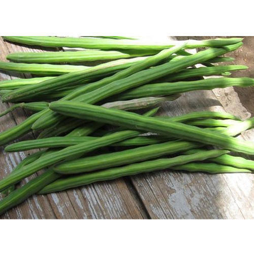 Pure Hygienic Floury Texture Natural Taste Healthy Green Fresh Drumsticks