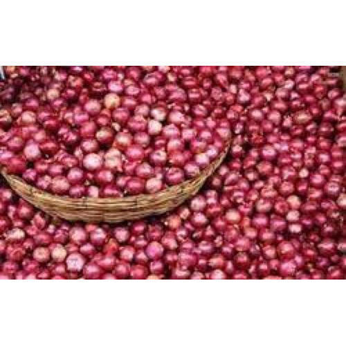 Excellent Quality Natural Taste Healthy Organic Red Fresh Small Onion