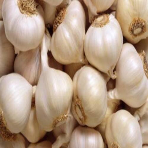 Gluten Free Moisture Proof Natural Good Taste Healthy White Fresh Garlic