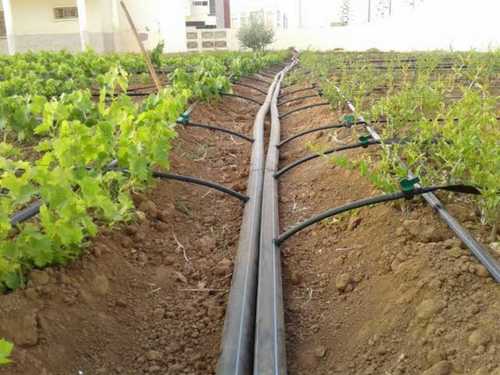 Plastic Irrigation Systems For Fruit Tree Agriculture