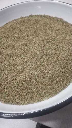 No Artificial Color Added Ajwain Seed