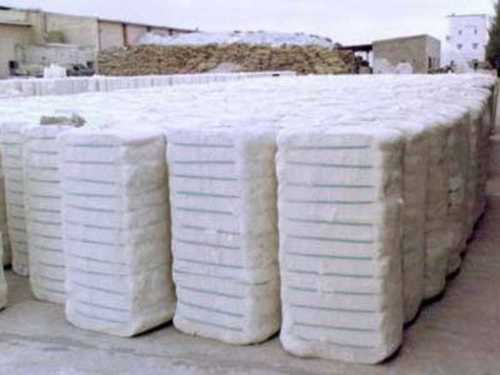 Organic Raw Cotton Bales