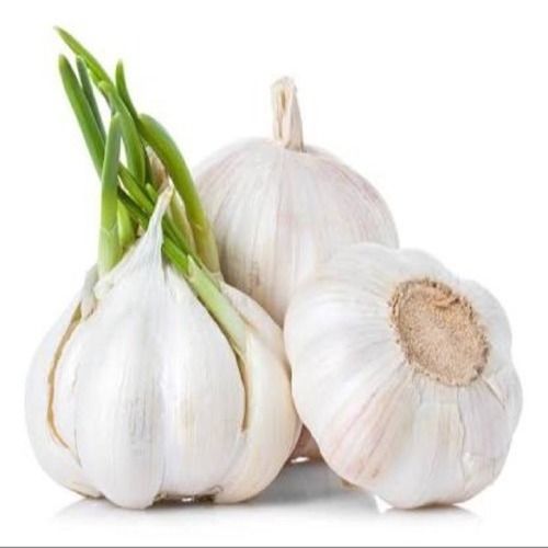 Rich Natural Taste Healthy Organic White Fresh Garlic