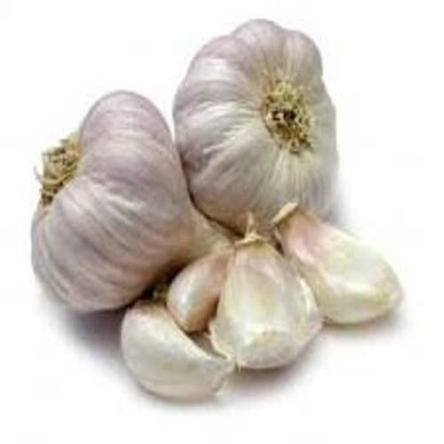 Dairy Free Gluten Free Natural Taste Organic White Fresh Garlic