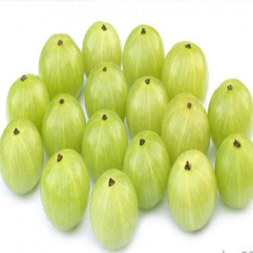 No Artificial Flavour Natural Taste Healthy Green Fresh Natural Gooseberry