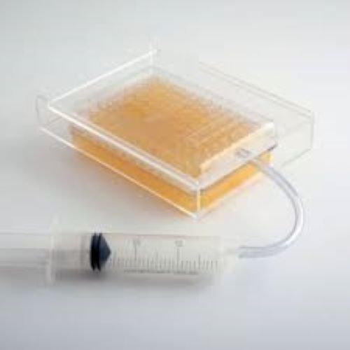 Transparent Caviar Maker Box