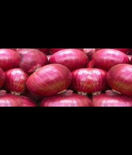 Red Onion For Human Consumption, 15-30 Shelf Life