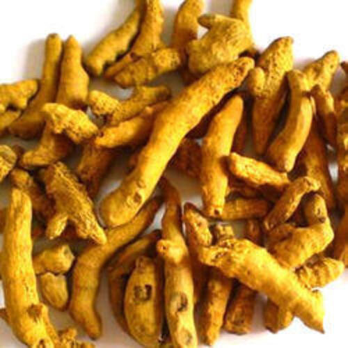 Fine Natural Taste Dried Yellow Organic Turmeric Finger