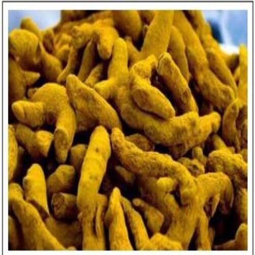 Fine Natural Taste Healthy Dried Yellow Turmeric Finger