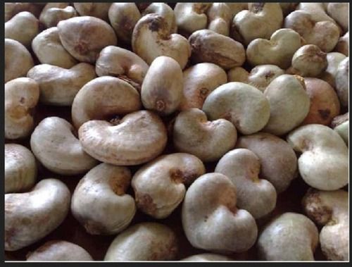 Fresh And Natural Pure Premium Raw Cashew Nuts Grade: A Grade