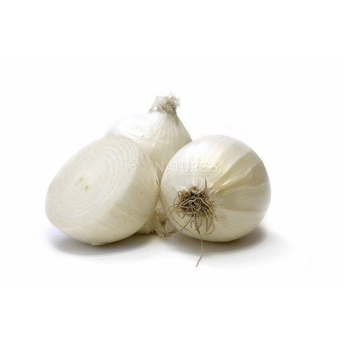 Good Natural Rich Taste Maturity 100% Healthy Fresh White Onion