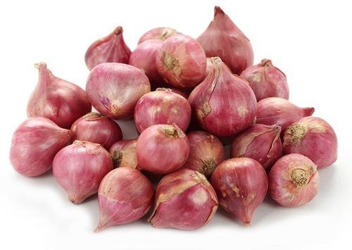 Good Purity Healthy Natural Taste Fresh Shallot Red Onion
