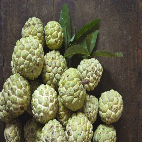 Green High In Protein Custard Apple