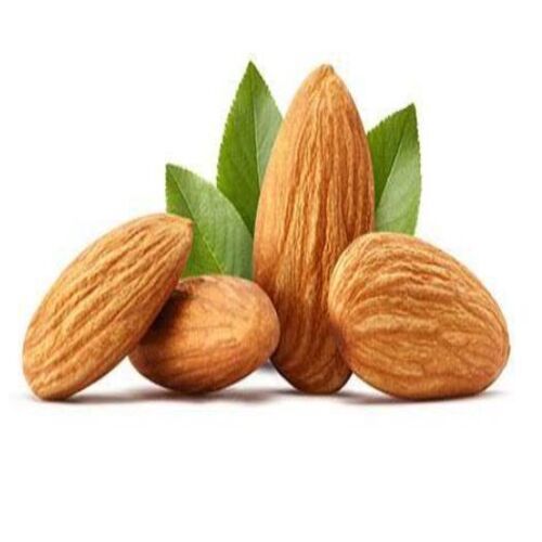 Rich In Protein Natural Taste Brown Almond Nuts